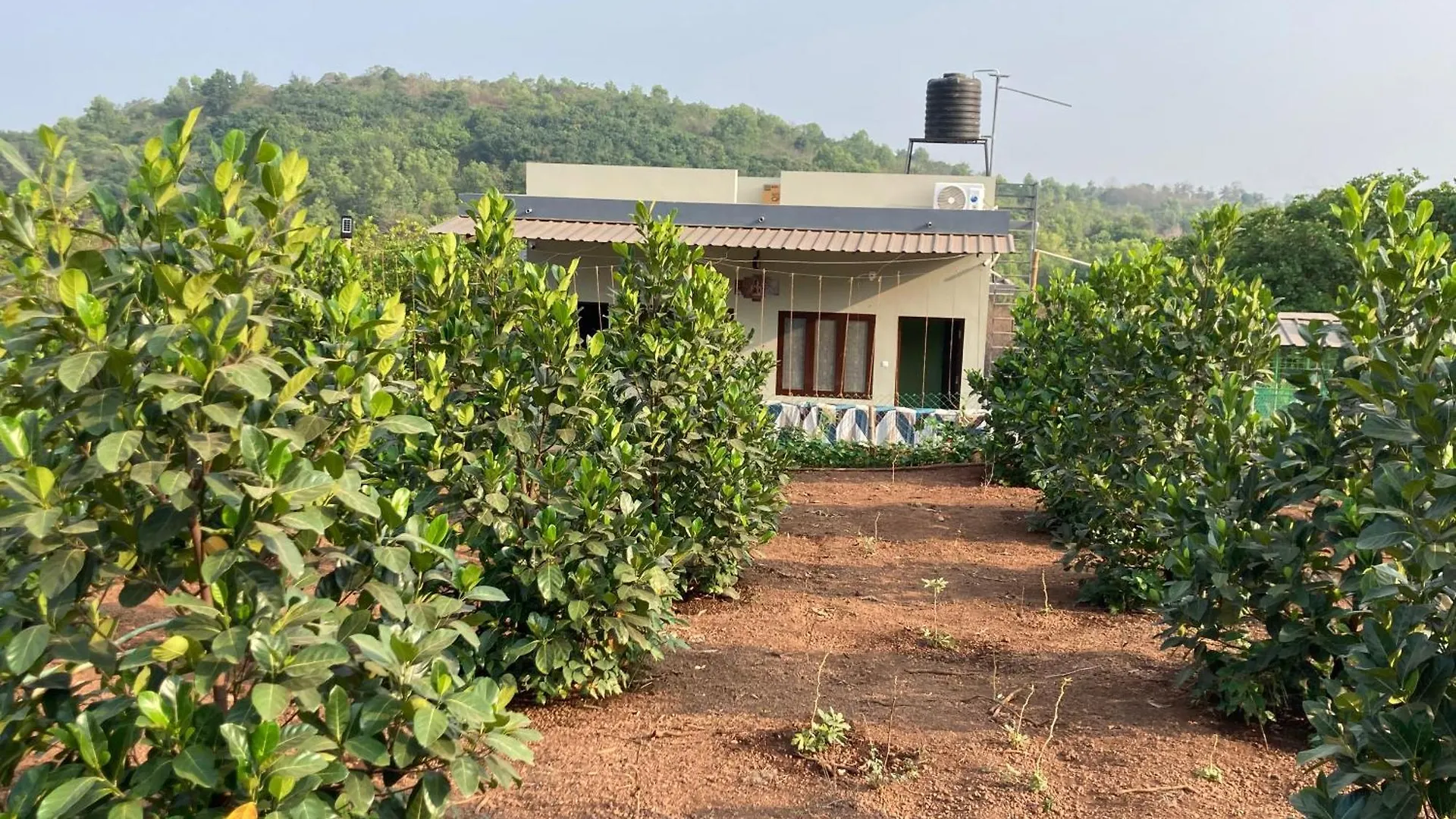 Mo'S Farm House Pappinisseri India
